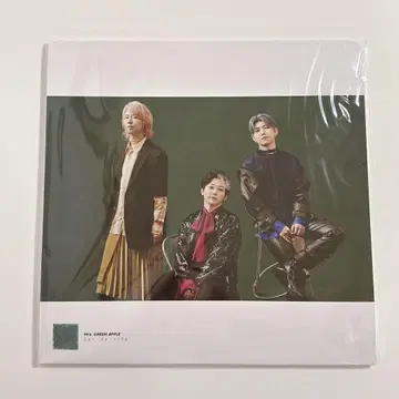 Mrs. GREEN APPLE 10 LP 사이즈 사진 포스터 19장