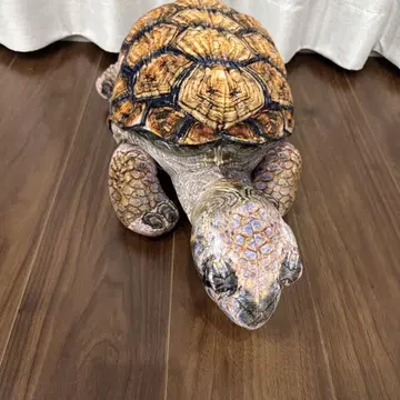 거북이 봉제 인형