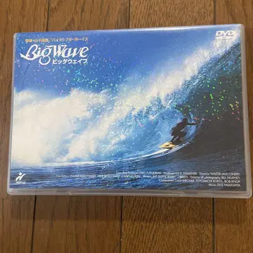 BIG WAVE('84 미국) 영화 야마시타 타츠로