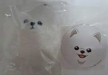 기븐 케다마 패스 케이스 코스터