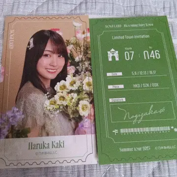 노기자카46 카키 하야카 NOGI 메쿠리 B상 스티커