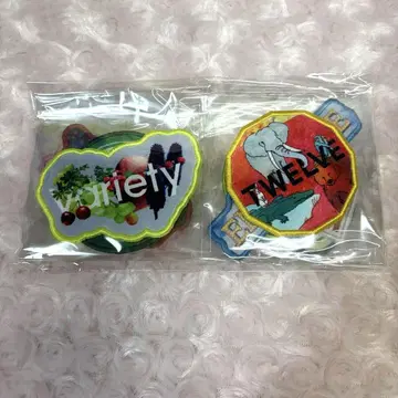 Mrs. GREEN APPLE 와펜 10