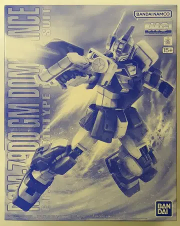 반다이 SPIRITS MG 1/100 반다이남코판 헬스장 도미나스