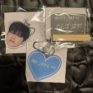 TREASURE 정우 캡슐 토이 컴프