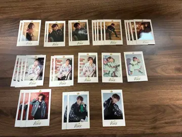 우라시마사카타센 우라타누키 폴라로이드풍 포토 카드