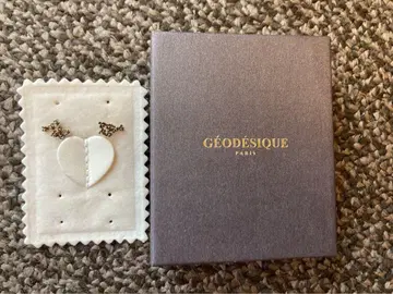 희소 단종 상품 GEODESIQE 지오데식 귀걸이
