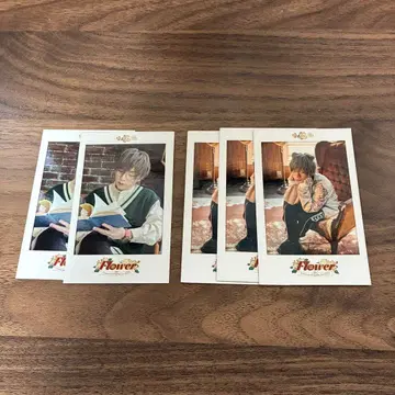 우라시마사카타센 우라타누키 폴라로이드풍 포토 카드