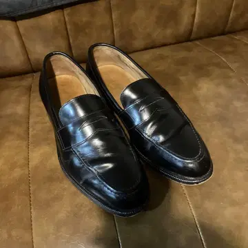 CHEANY 코인 로퍼