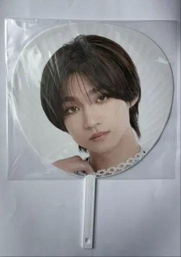 ICEx 시가 리쿠 에비라이 2024 부채