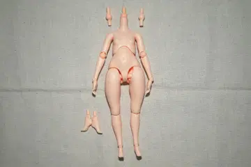 하모니아 블룸 바디