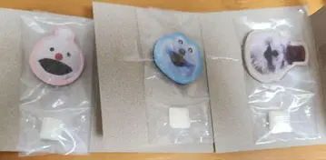 퍼펫 순순 마그넷