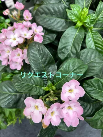 요청 코너입니다.