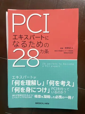 PCI 전문가가 되기 위한 28가지 조항