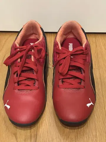 PUMA DRIFT CAT 푸마 드리프트 캣