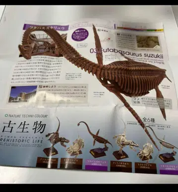 네이처 테크니컬러 고생물 후타바스즈키류 짙은 갈색 화석 색상