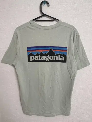 Patagonia 로고 티셔츠 S 민트 그린 스테디셀러 인기 상품