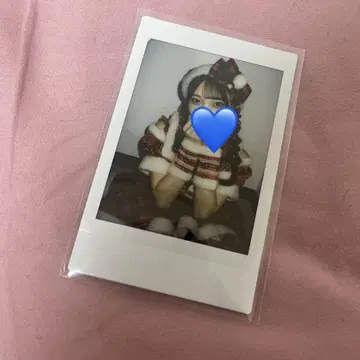 하나세 마이 폴라로이드