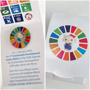 UN SDGs 핀 배지 헬로키티