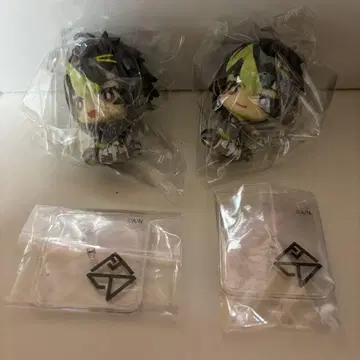 디티카 니지코토 이파 라이