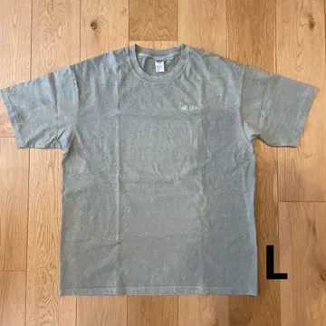 CHALLENGER PIGMENT LOGO TEE L MINT 25SS