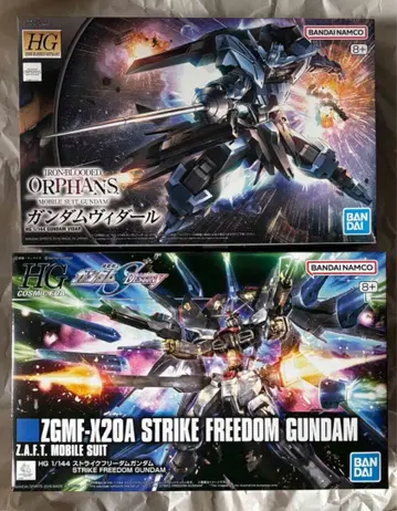 HG 건담 비다르 + HG 스트라이크 프리덤 건담