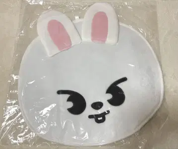 Straykids 리노 Lee 비트 SKZOO 부채 커버