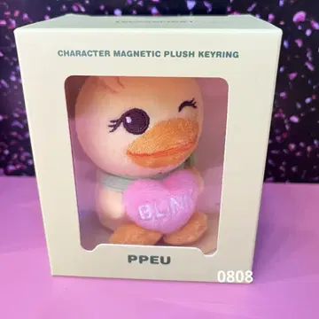 BLACKPINK PINK 2025 서울 콘서트 굿즈