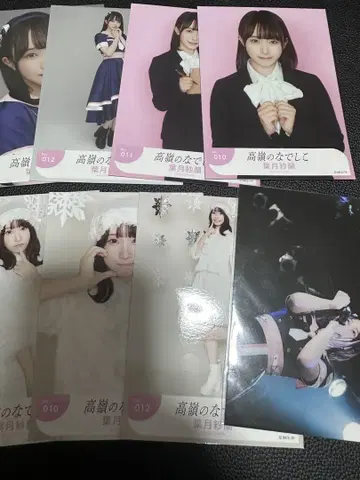 타카미네의 나데시코 하즈키 사라 브로마이드 미니 사진 세트