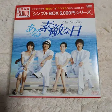 어느 멋진 날 DVD