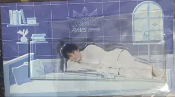 RAYS SnowMan 아크릴 스탠드 와타나베 쇼타