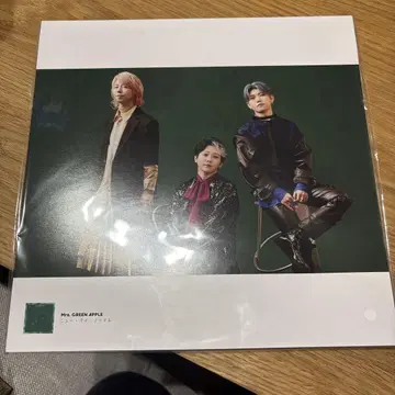 미세스 그린 애플 MGA10 앨범 LP 사이즈 사진 포스터