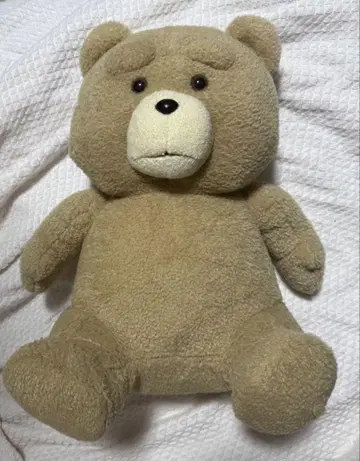 ted 봉제 인형