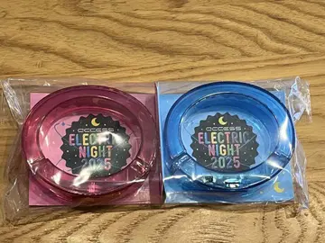 access ELECTRIC NIGHT 2025 뱅글 라이트 2개 세트
