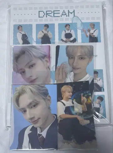 세븐틴 DREAM CARAT판 준