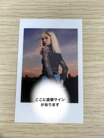 브랜디 전기 렌게츠 하즈키 폴라로이드 카드 친필 사인