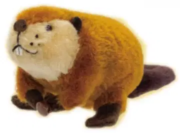 요시토쿠의 봉제 인형, 붙어 있고 싶어요! 비버