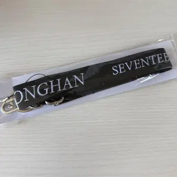 SEVENTEEN 세부치 정한 FOLLOW 숄더 스트랩