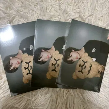 사진기입니다 NAOYA 브로마이드