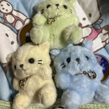 파스텔 생일 고양이 봉제 인형 세트