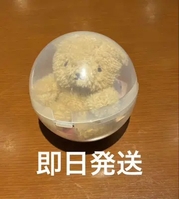 토아이 씨 가챠가챠 곰 브라운 브라운 애니메이션
