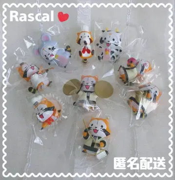 라스칼 라스칼 코코스 마그넷 Rascal