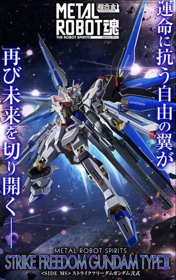 메탈 로봇혼 METAL ROBOT 스트라이크 프리덤 건담 이식