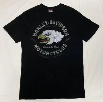 HARLEY DAVIDSON 할리 데이비슨 티셔츠 M 블랙