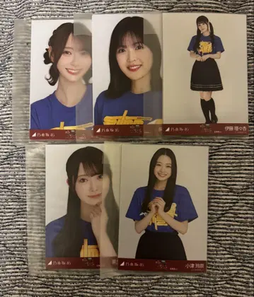 노기자카46 브로마이드 홋카이도 라이브 티셔츠 미개봉