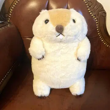 새상품 마모트 봉제 인형 모토토