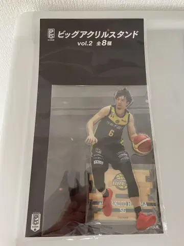 B.LEAGUE GIGO 빅 아크릴 스탠드 히에지마 신 우쓰노미야 브렉스