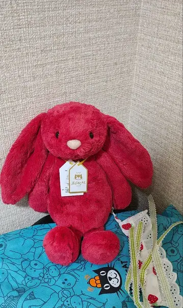 2025 신상 jallycat rabbit 토끼 제리 캣