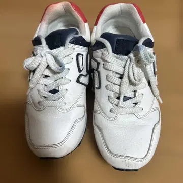 산가시오 25.5cm