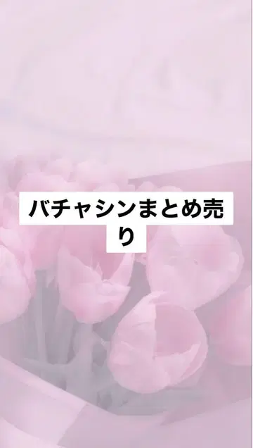 바차신 묶음 판매
