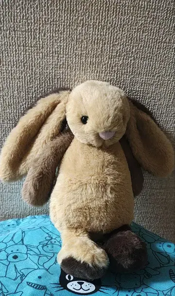 2025 신상 jallycat rabbit 토끼 제리 캣